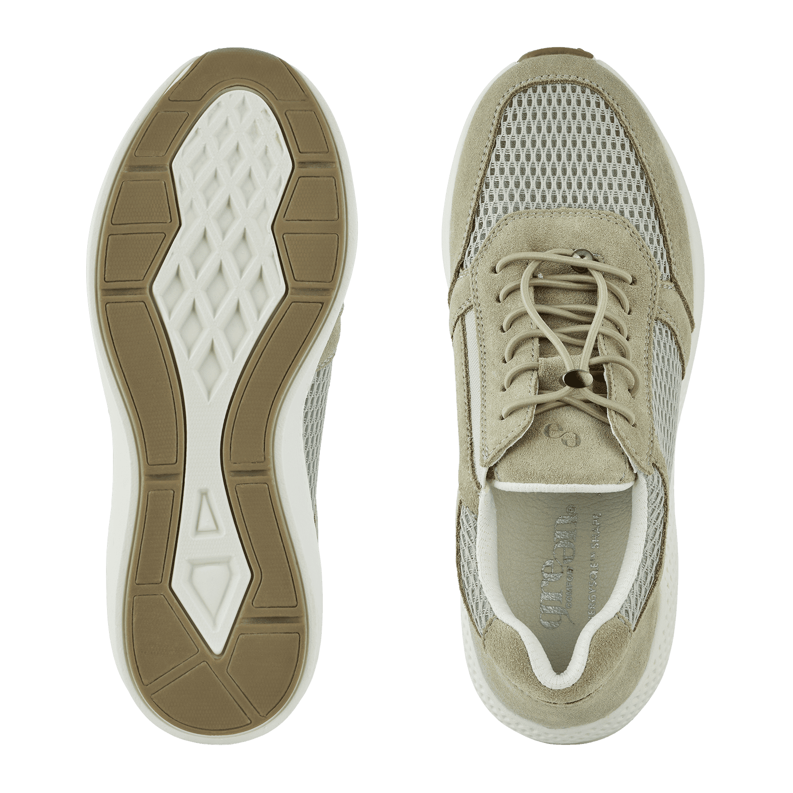 DOLPHIN DICTE - SAGE