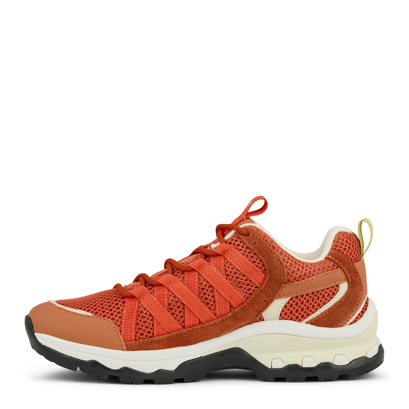 LONDON LOURDES - RUST