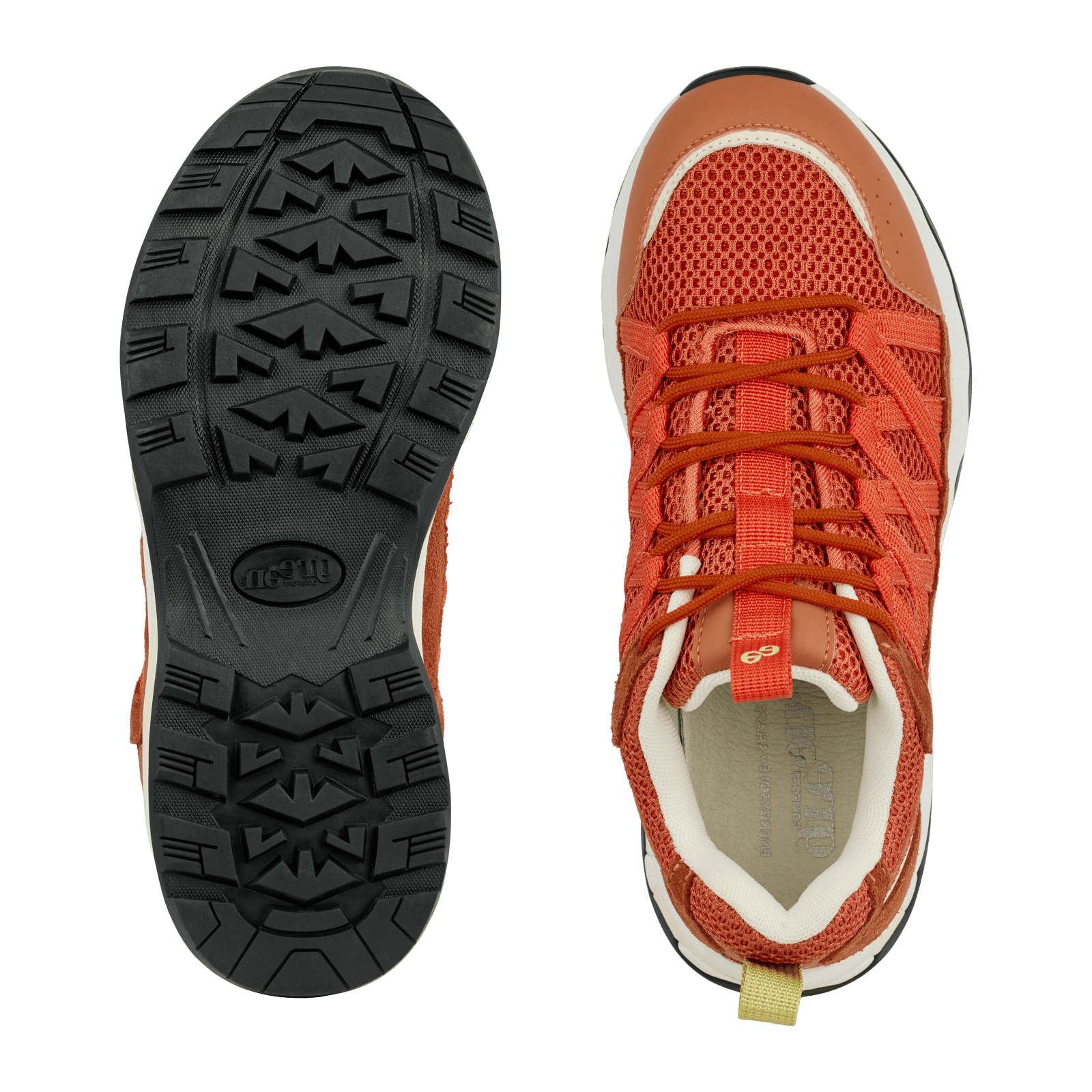 LONDON LOURDES - RUST