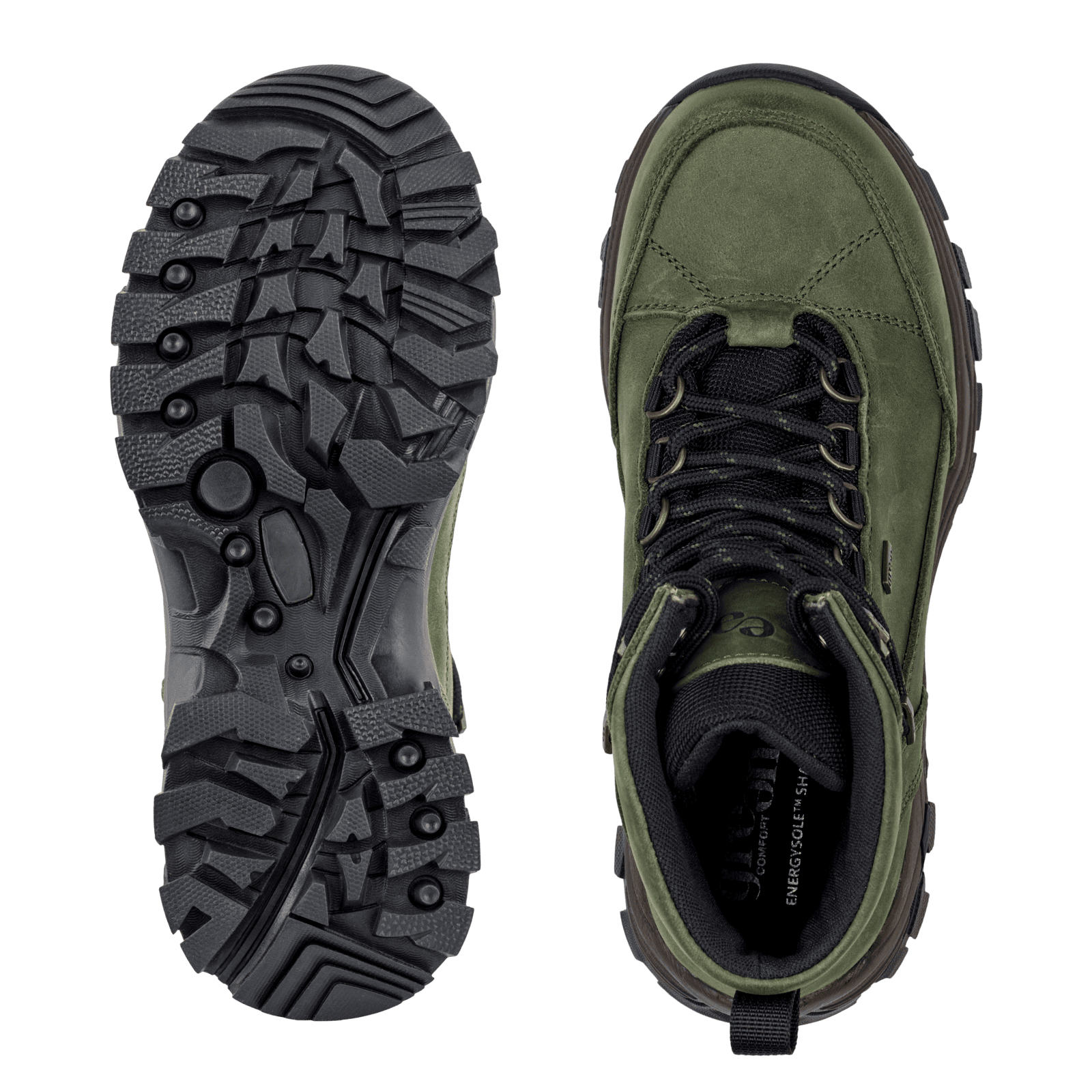 NORTH NORA - FORREST GREEN