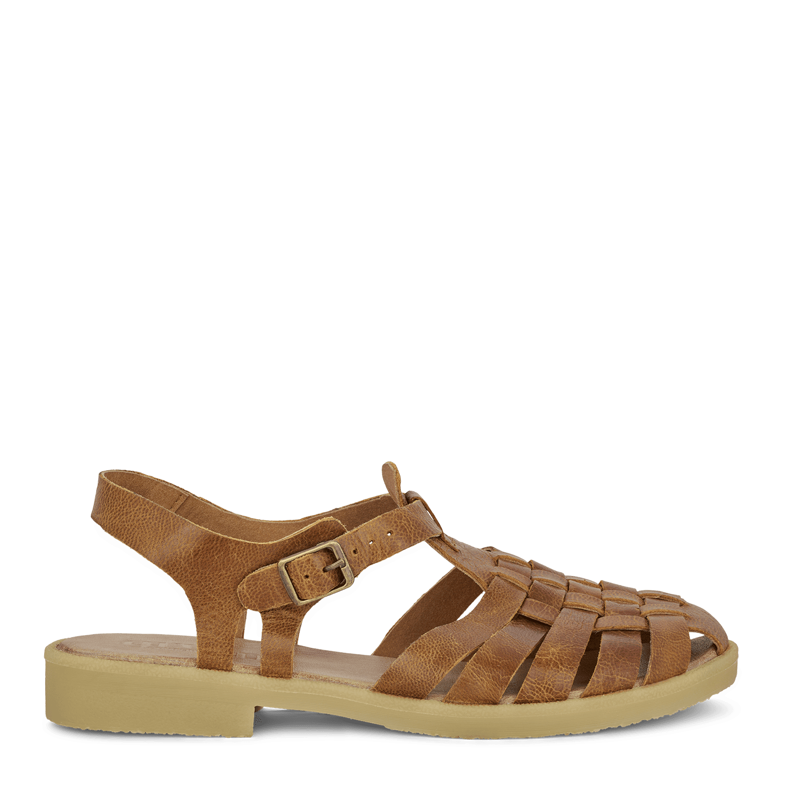 CAROLINE CAPRI - COGNAC