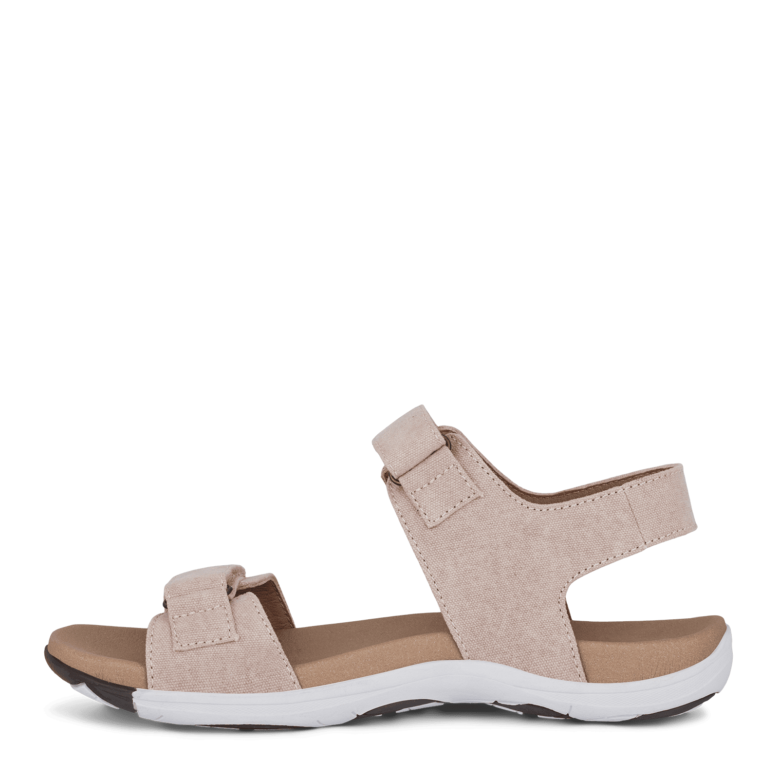 CORSICA CHRISTA - ROSE