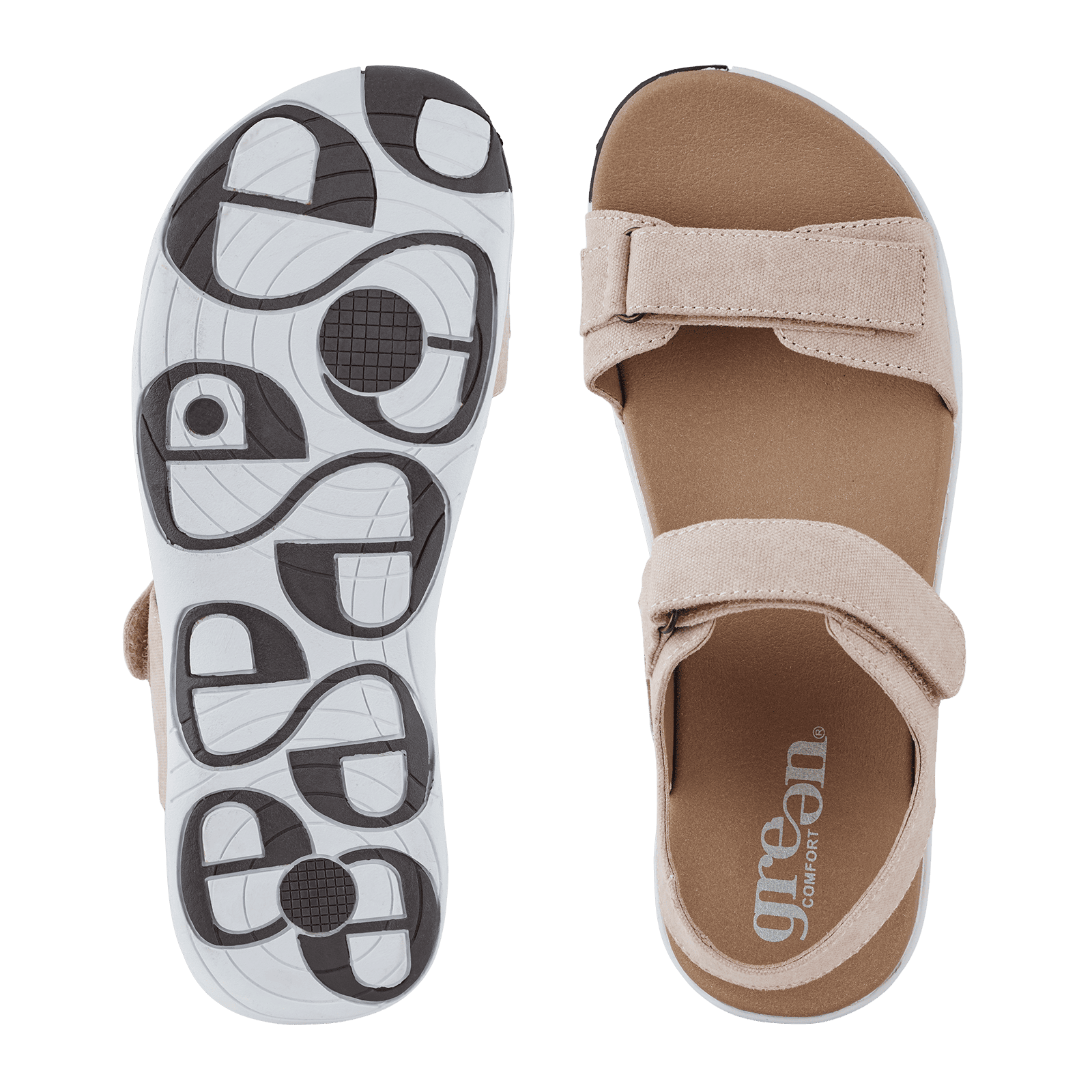 CORSICA CHRISTA - ROSE