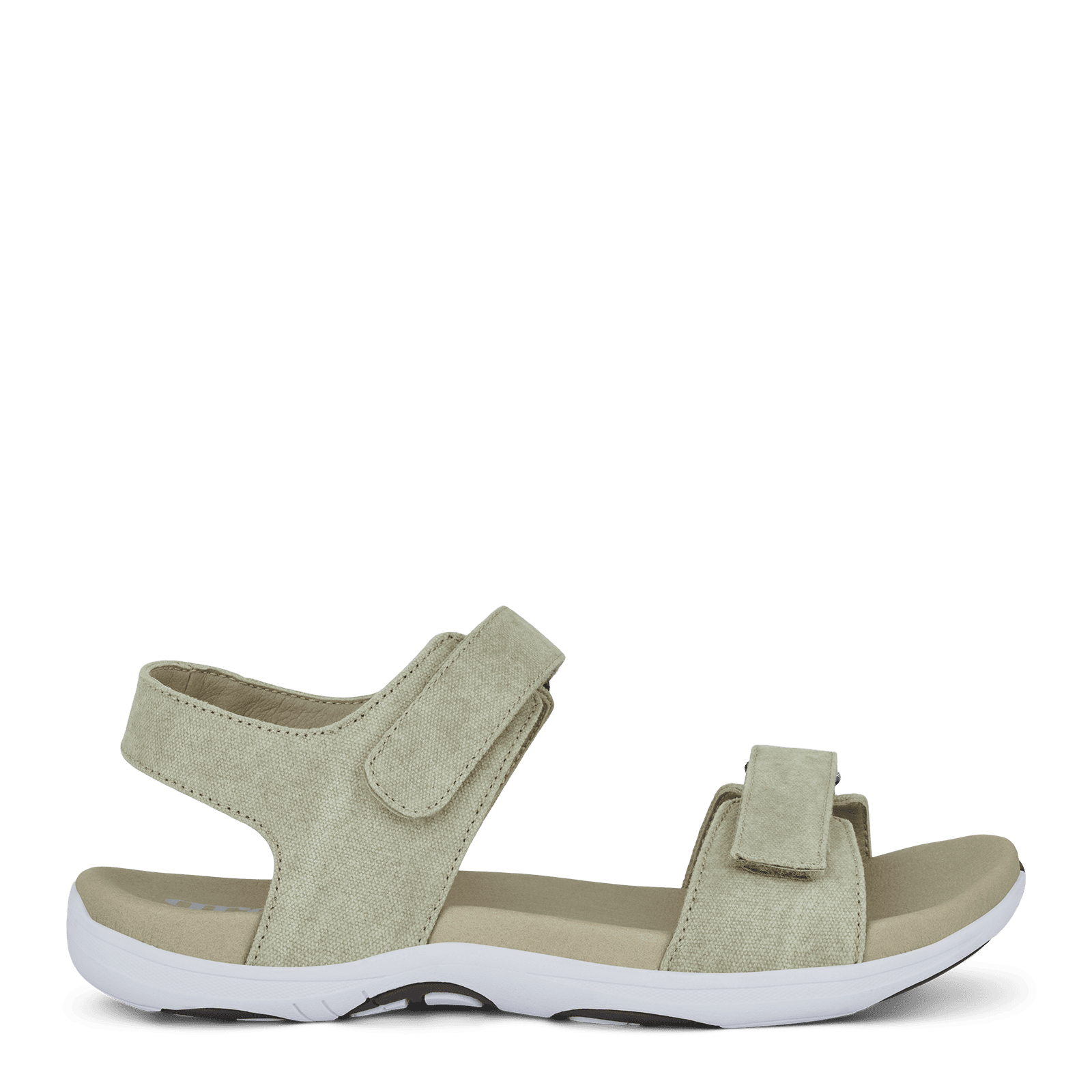 CORSICA CHRISTA - SAGE