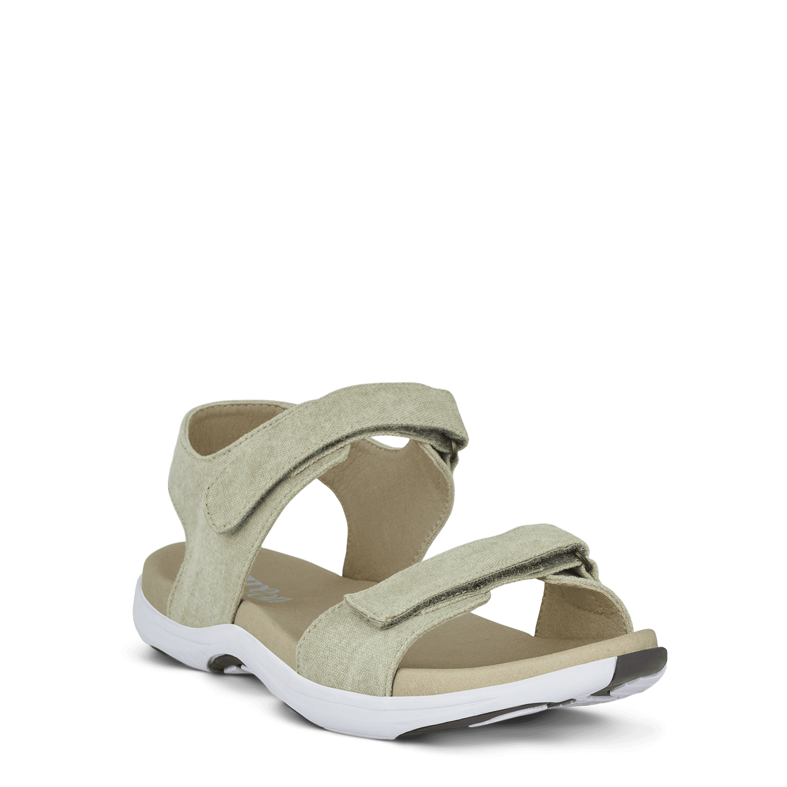 CORSICA CHRISTA - SAGE