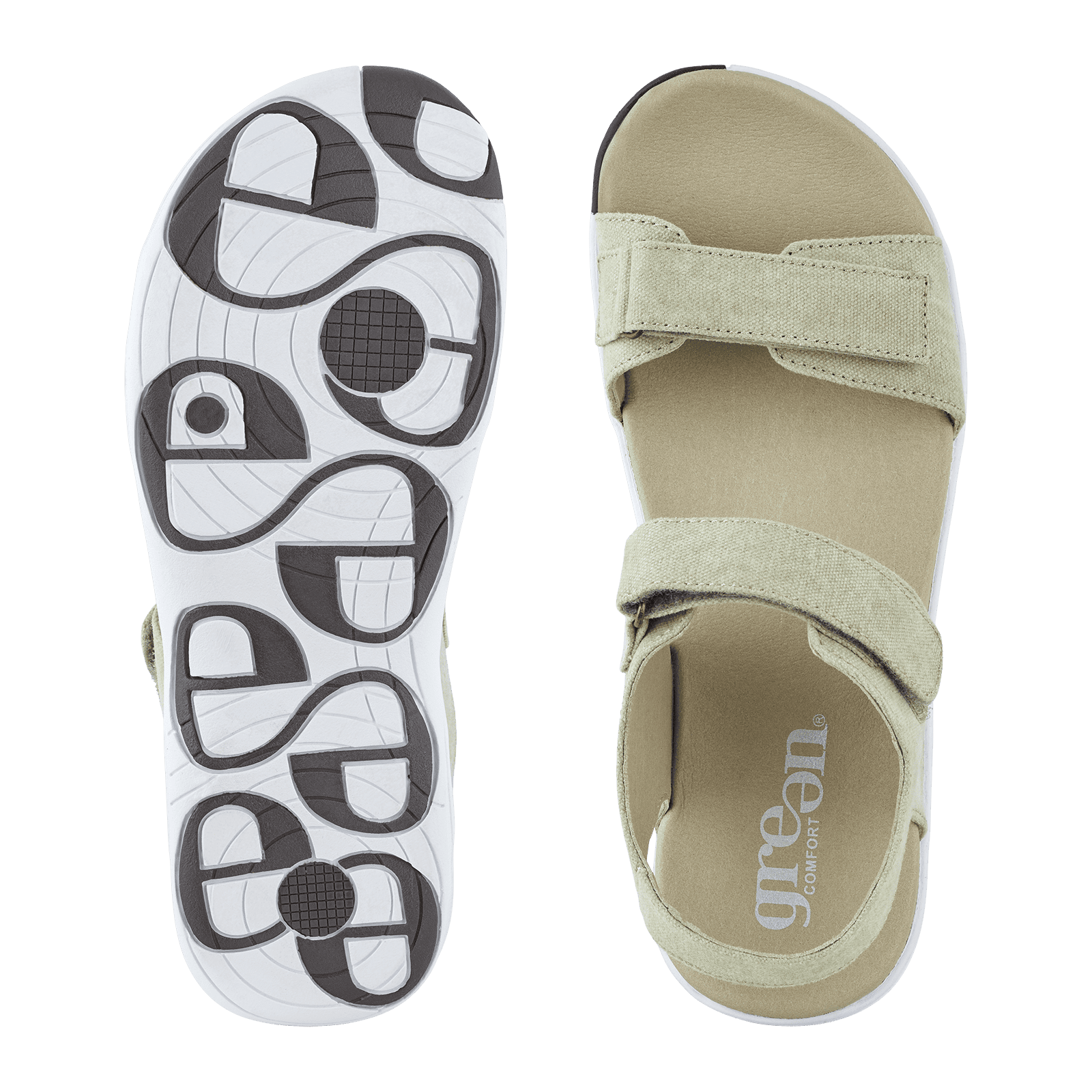 CORSICA CHRISTA - SAGE