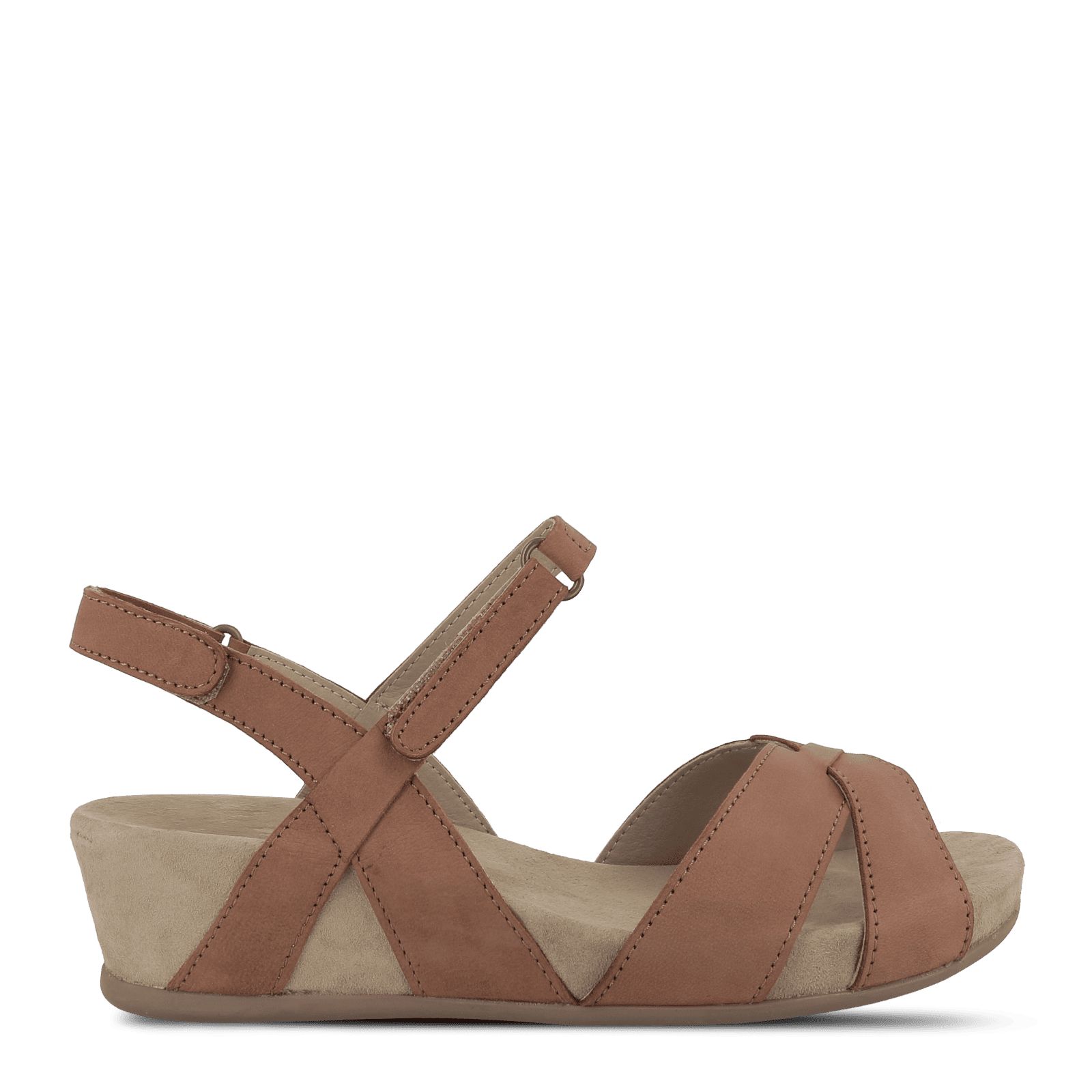 VIOLA VESINA - NATURE