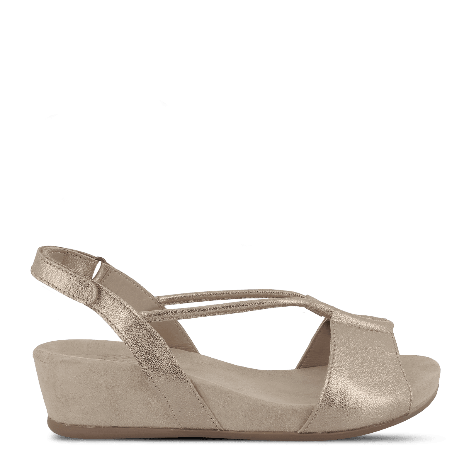 CAMILLA CALRIA - GOLD