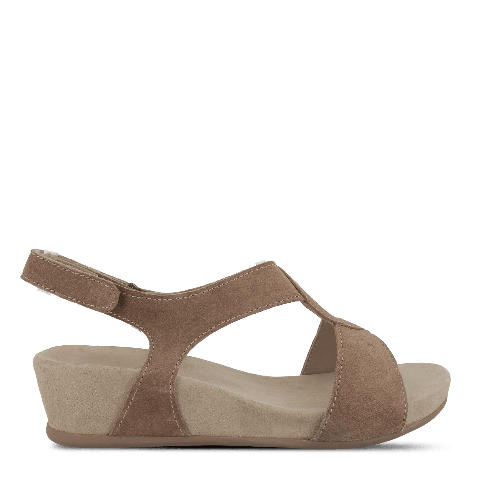 BETTA BELLIA - NATURE