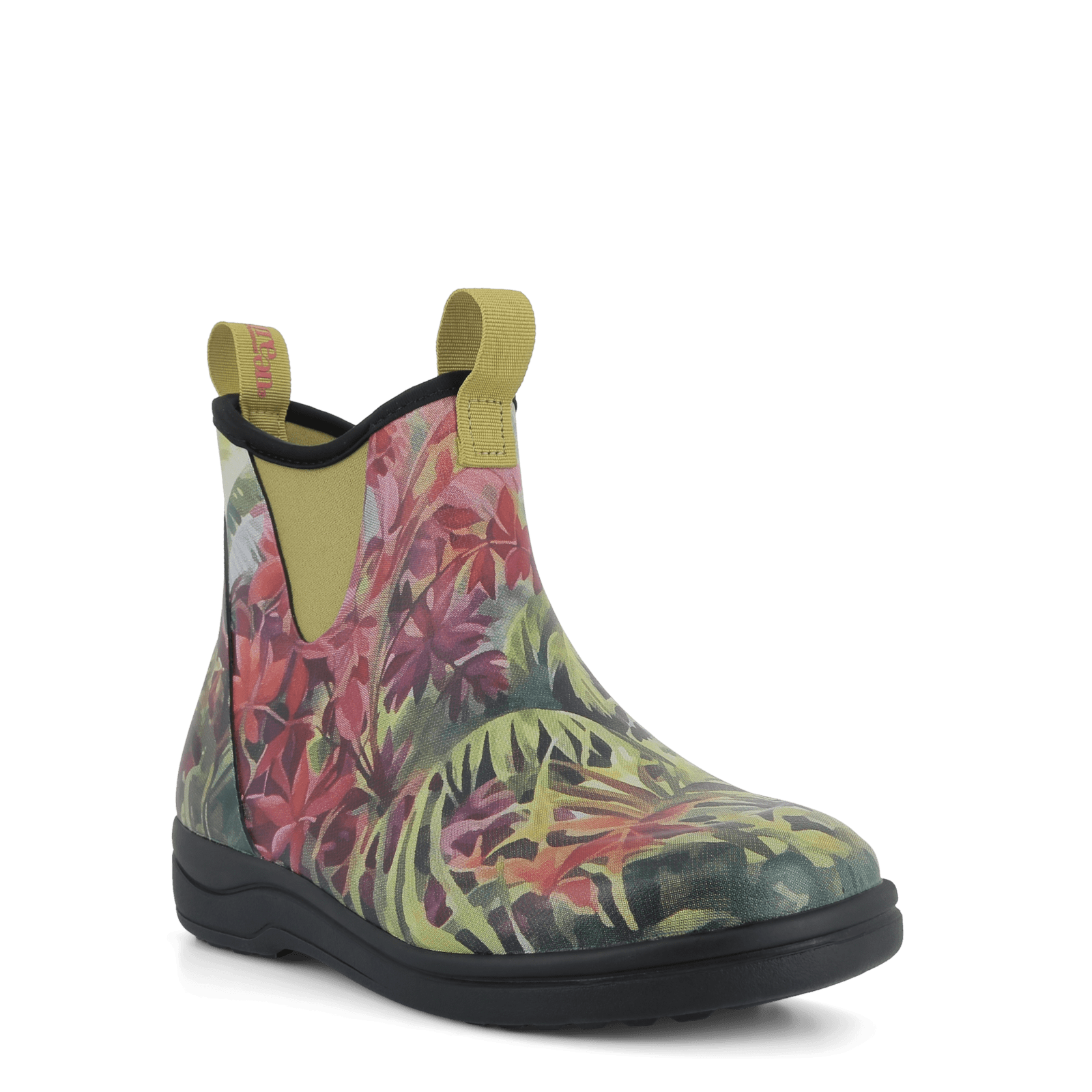 RAIN RAFAELL - HIBISCUS